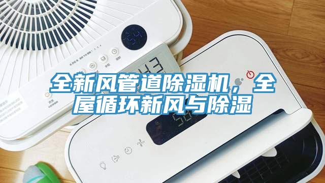 全新風(fēng)管道除濕機，全屋循環(huán)新風(fēng)與除濕