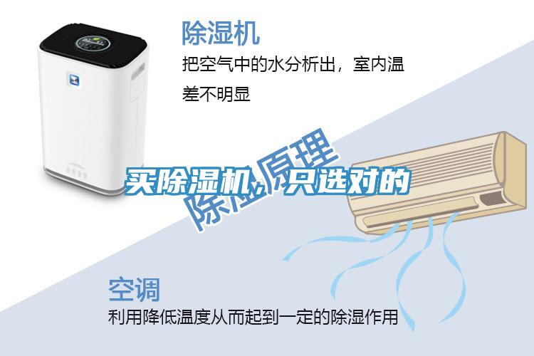 買(mǎi)除濕機，只選對的