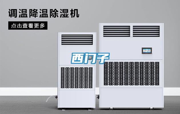 西門(mén)子