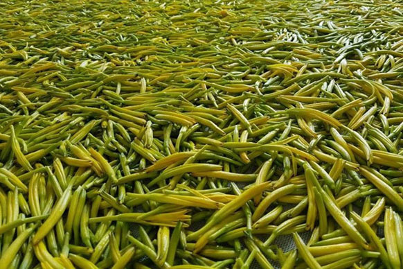 無(wú)硫金針菜烘干如何保持品相？不發(fā)黑？