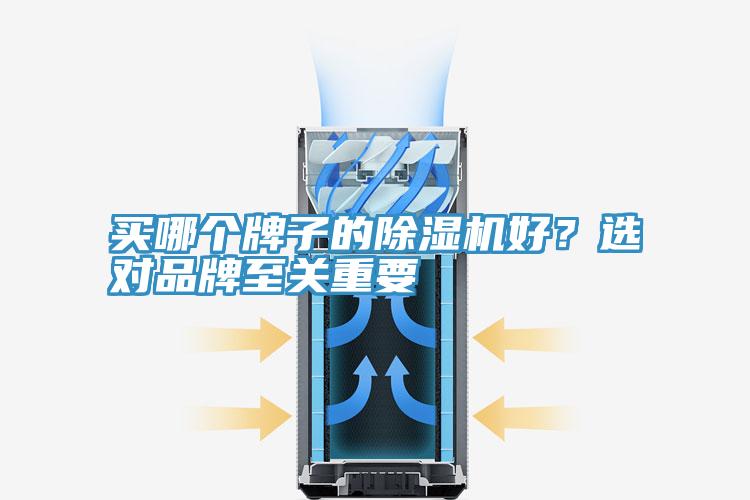 買(mǎi)哪個(gè)牌子的除濕機好？選對品牌至關(guān)重要