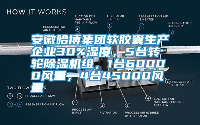 安徽哈博集團軟膠囊生產(chǎn)企業(yè)30%濕度，5臺轉輪除濕機組，1臺60000風(fēng)量，4臺45000風(fēng)量