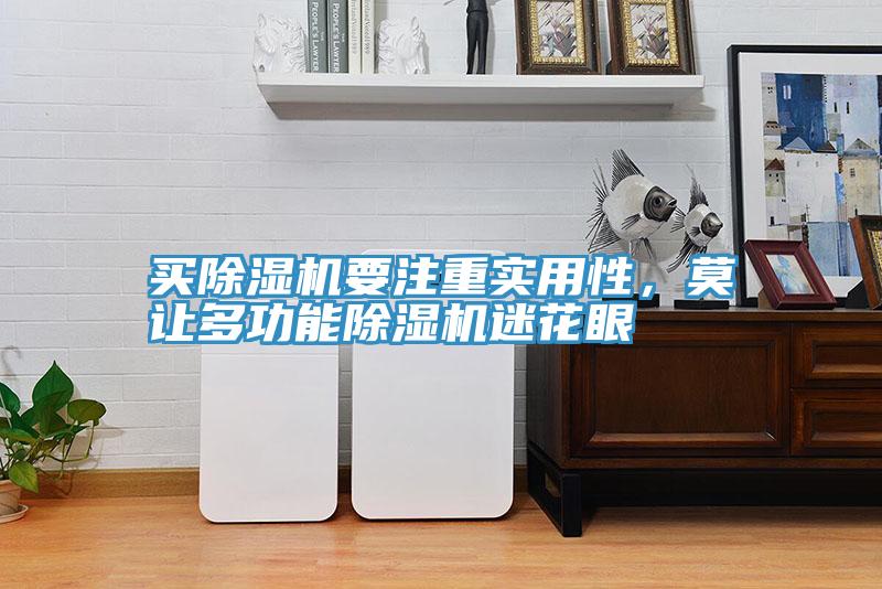 買(mǎi)除濕機要注重實(shí)用性，莫讓多功能除濕機迷花眼