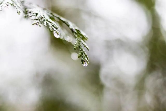 空氣濕度大帶來(lái)的危害有哪些，你知道嗎？