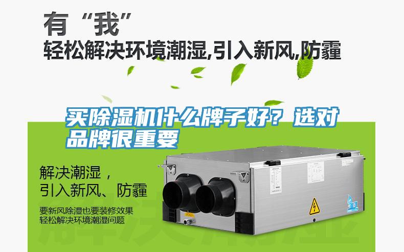 買(mǎi)除濕機什么牌子好？選對品牌很重要