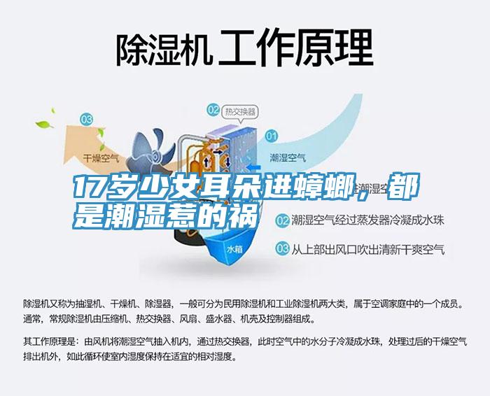17歲少女耳朵進(jìn)蟑螂，都是潮濕惹的禍