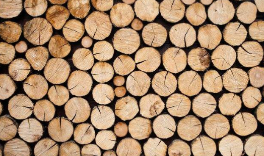 木材烘干除濕機哪個(gè)牌子好，怎么選擇