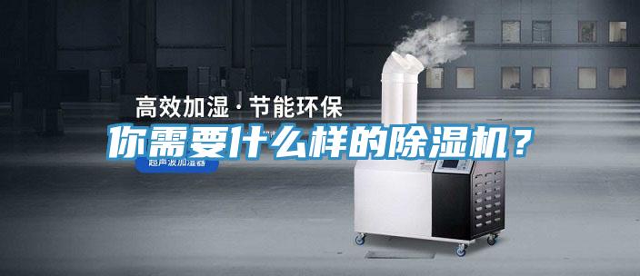 你需要什么樣的除濕機？