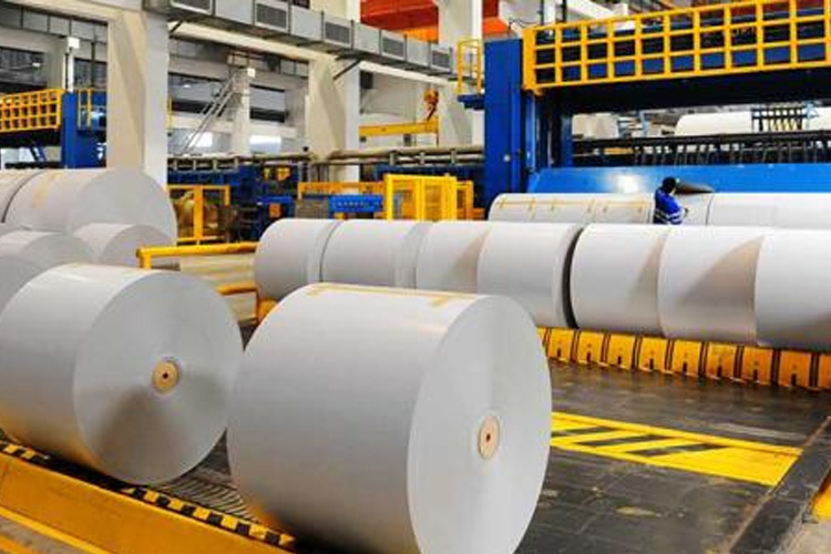 1530155370647669.jpg 紙廠(chǎng).jpg