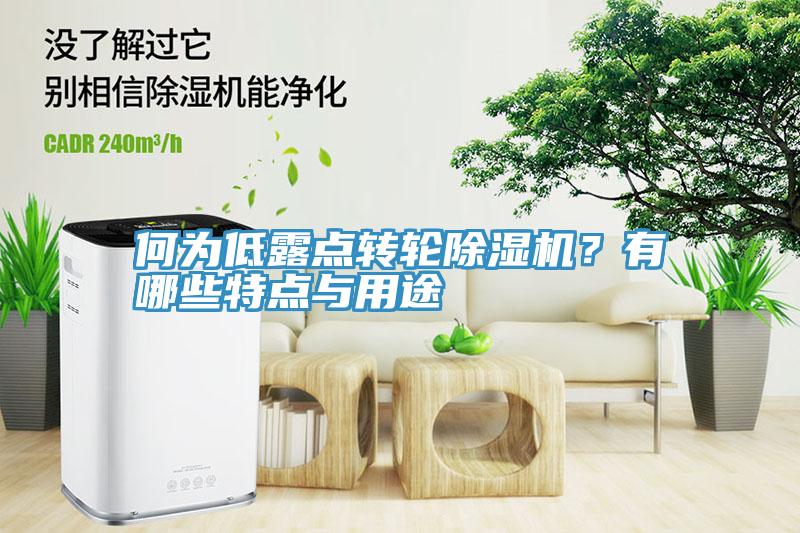 何為低露點(diǎn)轉輪除濕機？有哪些特點(diǎn)與用途