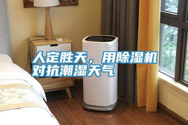 人定勝天，用除濕機對抗潮濕天氣