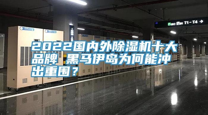 2022國內外除濕機十大品牌 黑馬伊島為何能沖出重圍？