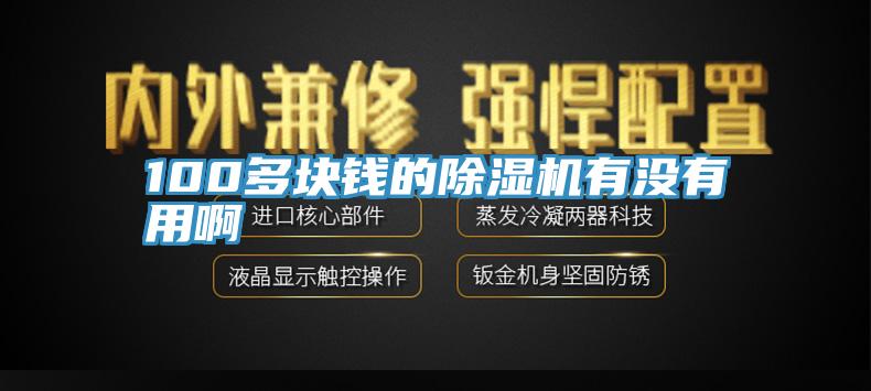 100多塊錢(qián)的除濕機有沒(méi)有用啊