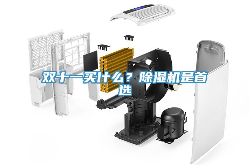 雙十一買(mǎi)什么？除濕機是首選