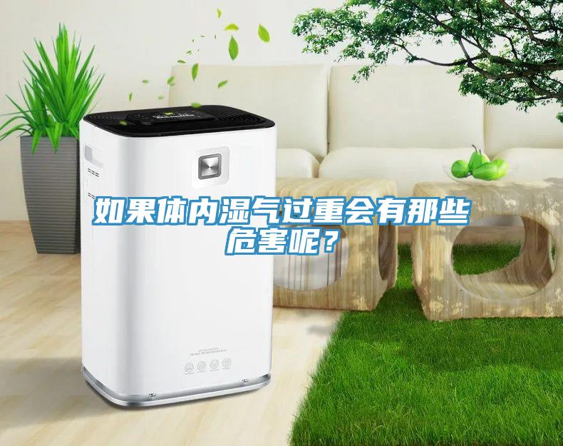 如果體內濕氣過(guò)重會(huì )有那些危害呢？