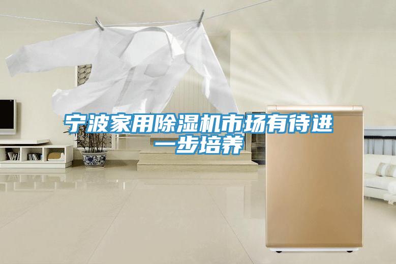 寧波家用除濕機市場(chǎng)有待進(jìn)一步培養