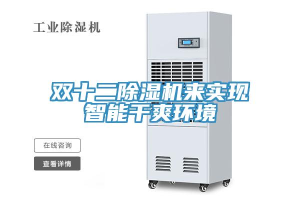 雙十二除濕機來(lái)實(shí)現智能干爽環(huán)境