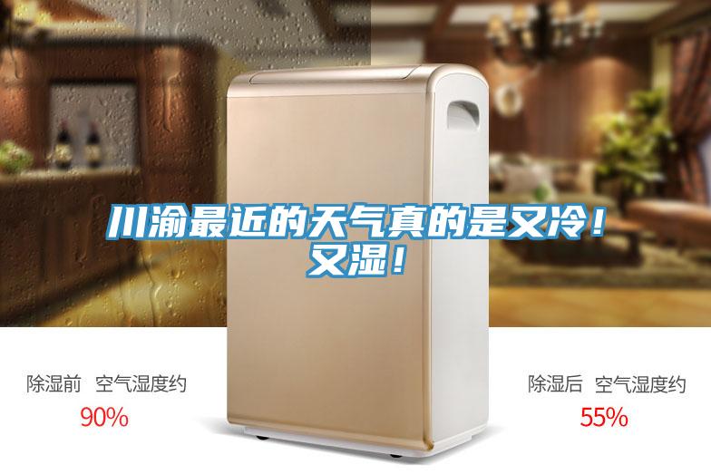 川渝最近的天氣真的是又冷！又濕！