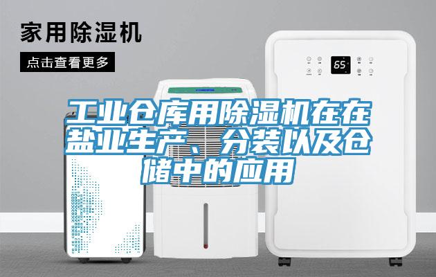 工業(yè)倉庫用除濕機在在鹽業(yè)生產(chǎn)、分裝以及倉儲中的應用