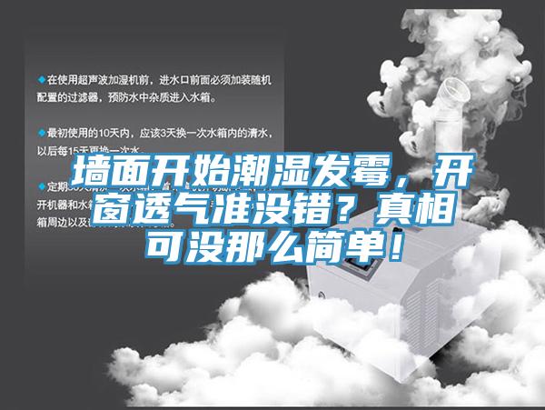 墻面開(kāi)始潮濕發(fā)霉，開(kāi)窗透氣準沒(méi)錯？真相可沒(méi)那么簡(jiǎn)單！