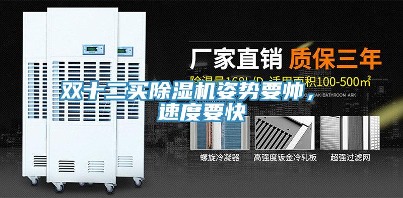 雙十二買(mǎi)除濕機姿勢要帥， 速度要快