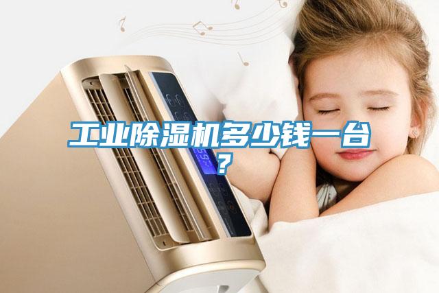 工業(yè)除濕機多少錢(qián)一臺？