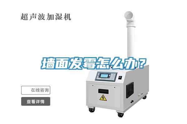 墻面發(fā)霉怎么辦？