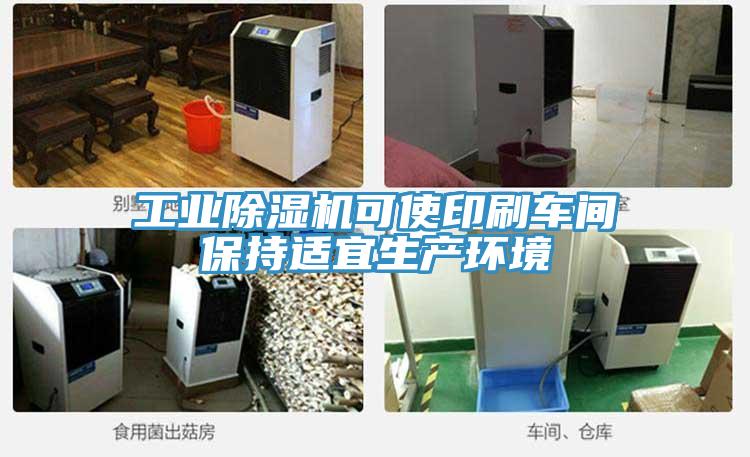 工業(yè)除濕機可使印刷車(chē)間保持適宜生產(chǎn)環(huán)境