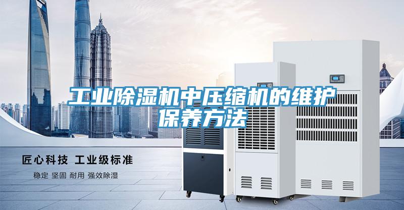 工業(yè)除濕機中壓縮機的維護保養方法