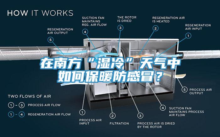 在南方“濕冷”天氣中如何保暖防感冒？