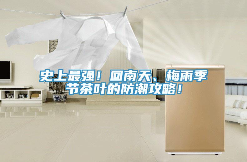 史上最強！回南天、梅雨季節茶葉的防潮攻略！