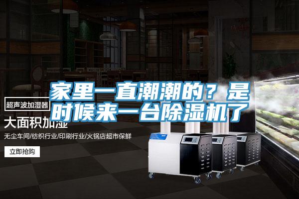 家里一直潮潮的？是時(shí)候來(lái)一臺除濕機了