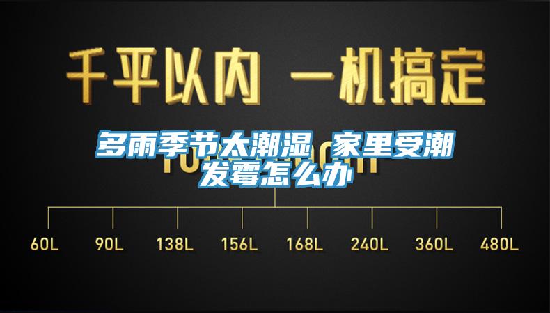 多雨季節太潮濕 家里受潮發(fā)霉怎么辦