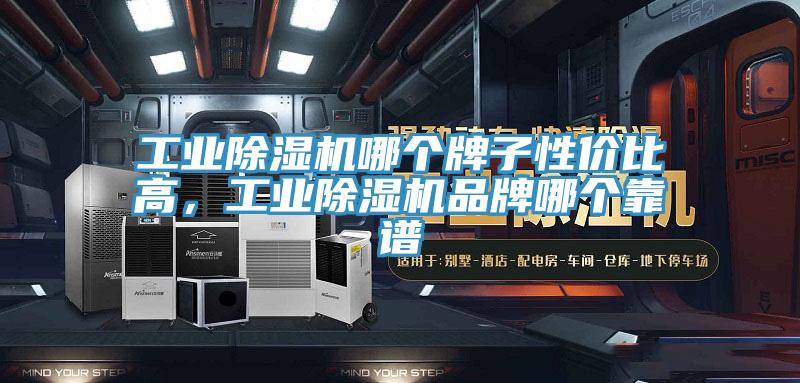 工業(yè)除濕機哪個(gè)牌子性?xún)r(jià)比高，工業(yè)除濕機品牌哪個(gè)靠譜