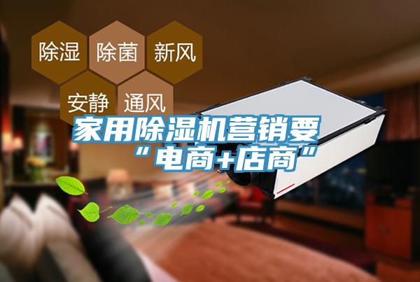 家用除濕機營(yíng)銷(xiāo)要“電商+店商”