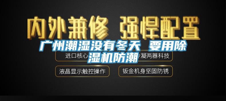 廣州潮濕沒(méi)有冬天 要用除濕機防潮
