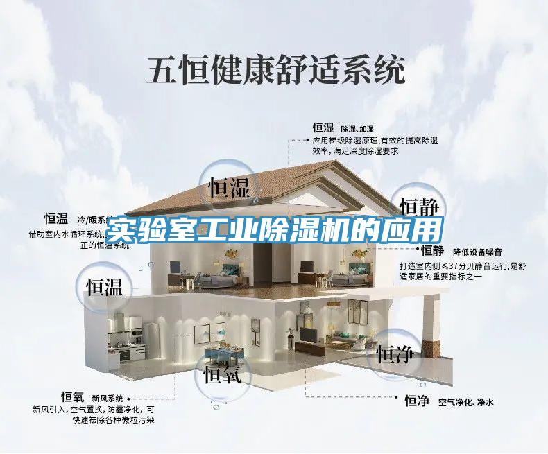 實(shí)驗室工業(yè)除濕機的應用