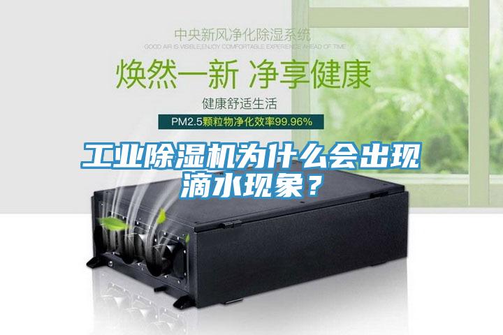 工業(yè)除濕機為什么會(huì )出現滴水現象？