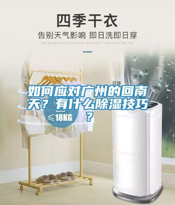如何應對廣州的回南天？有什么除濕技巧？