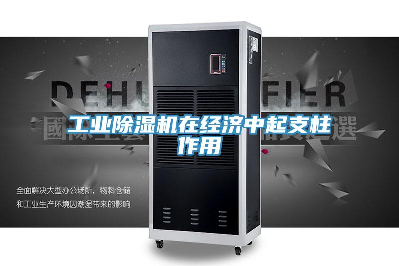 工業(yè)除濕機在經(jīng)濟中起支柱作用
