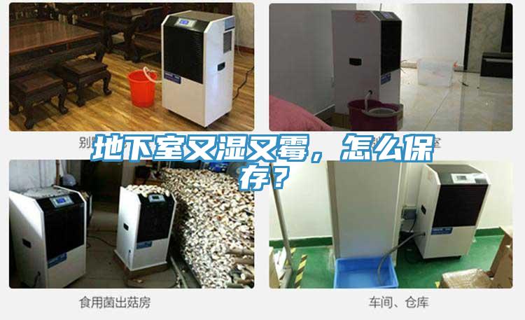 地下室又濕又霉，怎么保存？
