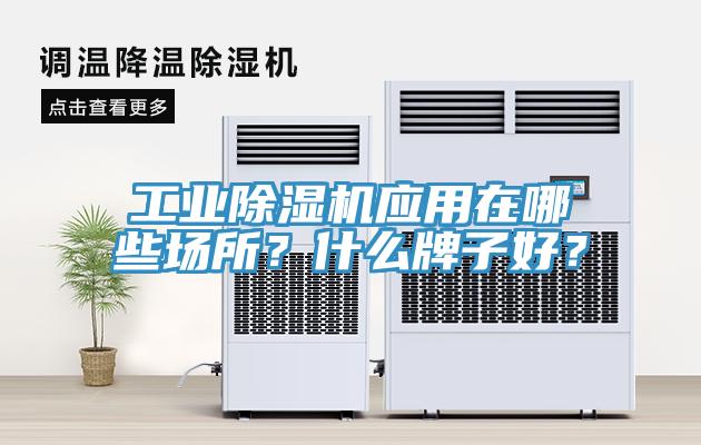 工業(yè)除濕機應用在哪些場(chǎng)所？什么牌子好？