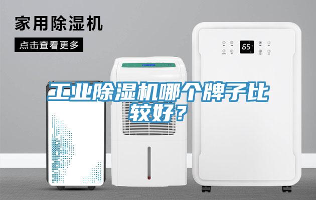 工業(yè)除濕機哪個(gè)牌子比較好？