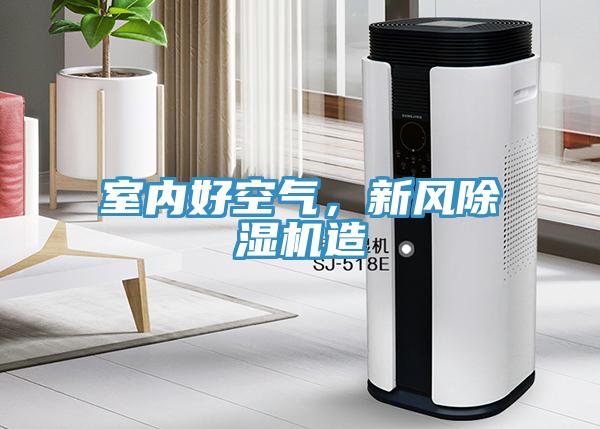 室內好空氣，新風(fēng)除濕機造