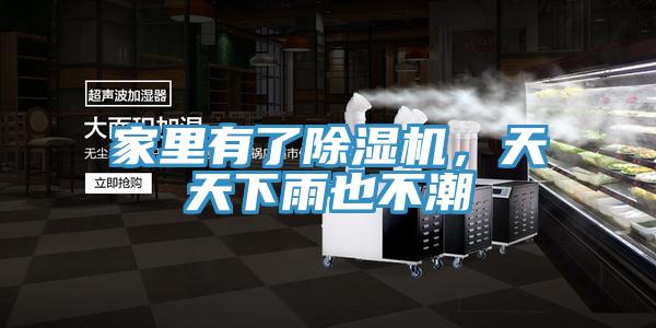 家里有了除濕機，天天下雨也不潮