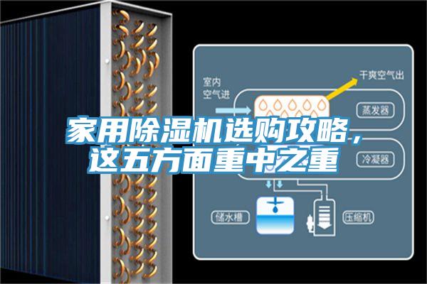 家用除濕機選購攻略，這五方面重中之重