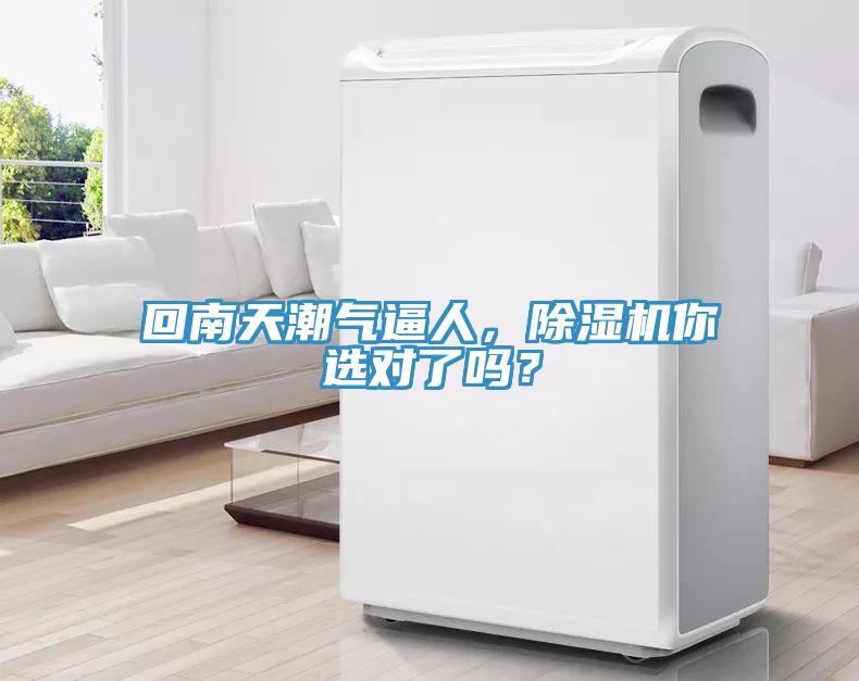 回南天潮氣逼人，除濕機你選對了嗎？