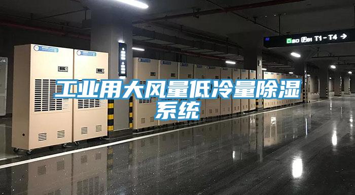 工業(yè)用大風(fēng)量低冷量除濕系統