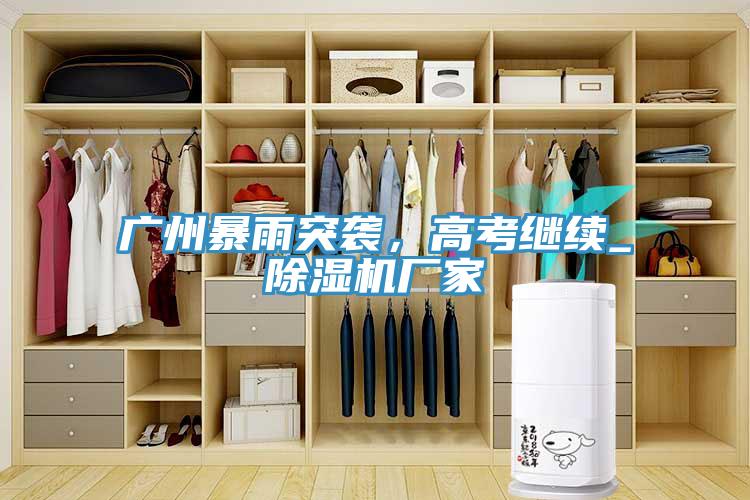 廣州暴雨突襲，高考繼續_除濕機廠(chǎng)家