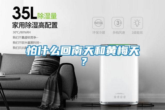 怕什么回南天和黃梅天？